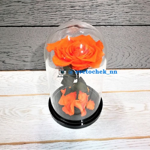 Оранжевая роза в стеклянной колбе королевская