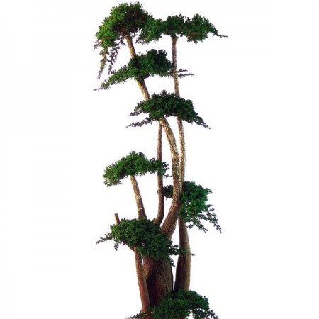 Дерево Бонсай Джумбо Фукука зеленый 190 см