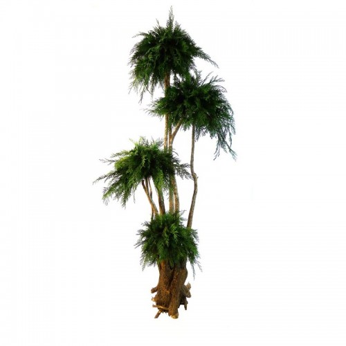 Дерево Бонсай Джумбо Туя зеленый 190 см