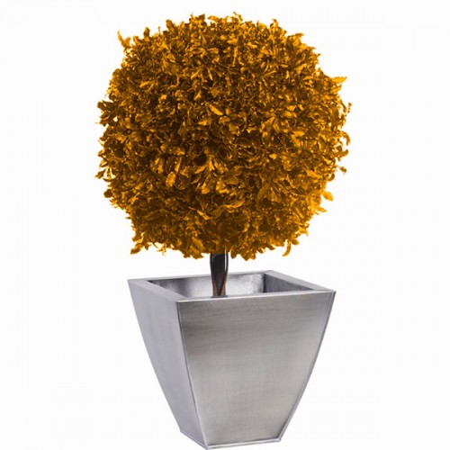 Дерево Питоспорум 1 шар 30 желтый 40 см