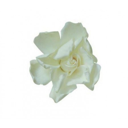 Гардения цветок белый