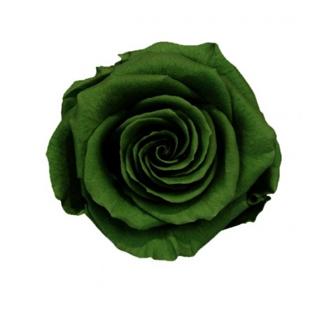 Роза экстра 6 гол зеленый чай 2150