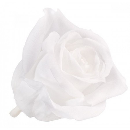 Роза принцесс 16 гол белый 4001