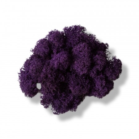 Стабилизированный мох ягель Фиолетовый 1 кг.