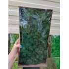 Стабилизированный мох ягель Зеленый Дарк 4 кг. упаковка