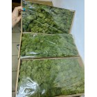 Стабилизированный мох ягель Зеленый Медиум 4 кг. упаковка