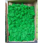 Стабилизированный мох ягель Зеленое Яблоко 500 гр. упаковка